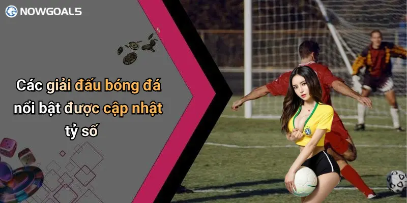 Các giải đấu bóng đá nổi bật được cập nhật tỷ số