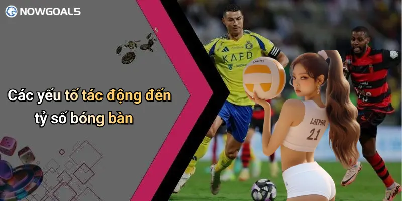 Các yếu tố tác động đến tỷ số bóng bàn