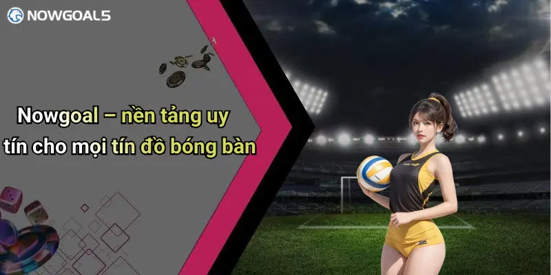 Nowgoal – nền tảng uy tín cho mọi tín đồ bóng bàn