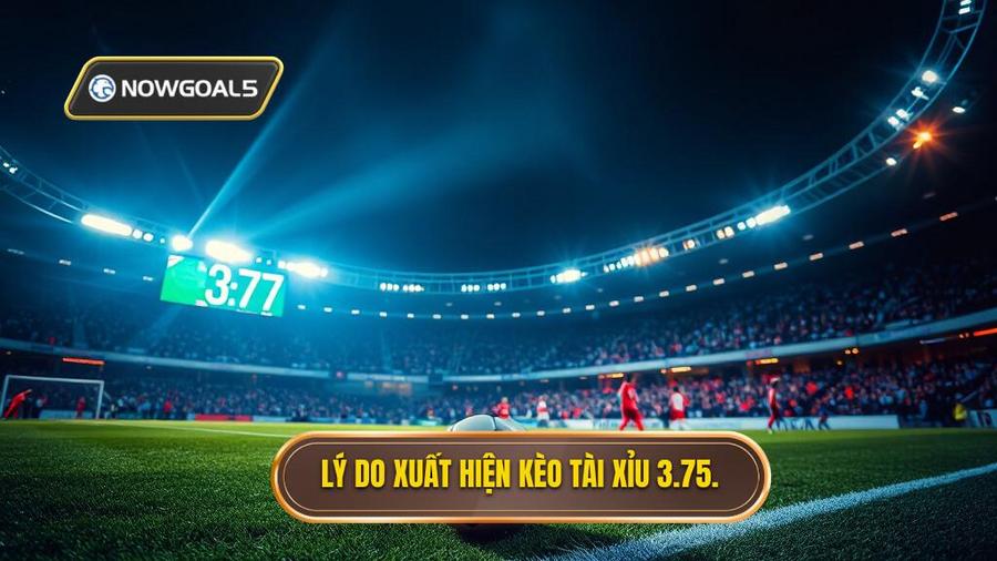 2. Lý do xuất hiện kèo tài xỉu 3.75.